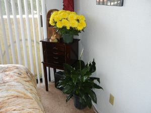 GET MOTIVATED flowers